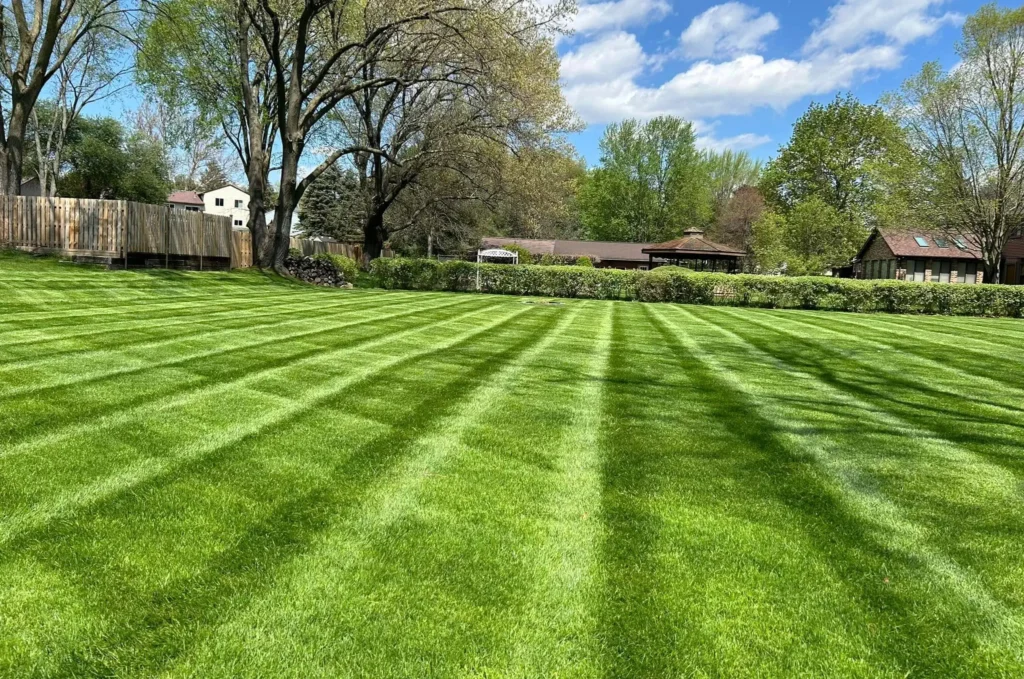 Lawn_Care_Service_from_Frontier_Landscape-Brighton_MI