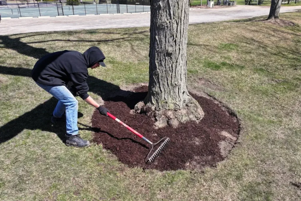 Mulch_Placement_Brighton_Michigan-Frontier_Landscape